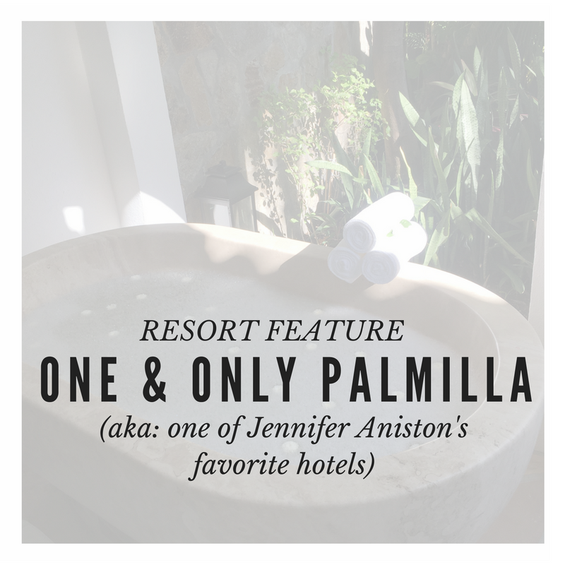 one and only palmilla - Showit Blog